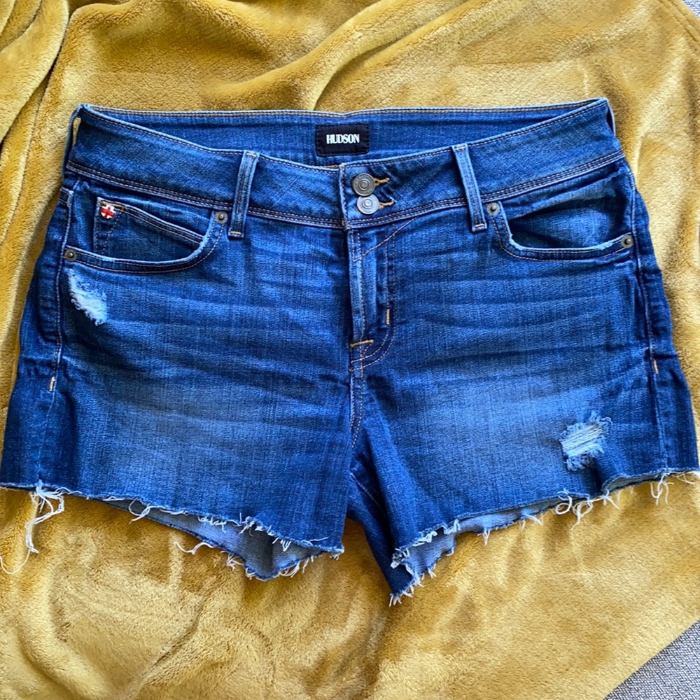 NWOT HUDSON Shorts!